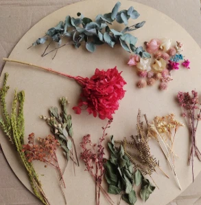 Kit 1 - Flores e Folhagens Desidratadas - Artesanato e Personalizados