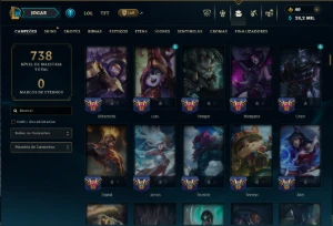 Unranked com TODOS os Champs e 233 Skins ( MAIN SUP ) - League of Legends LOL