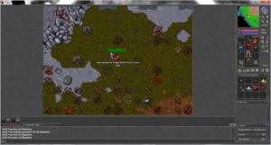 tibia