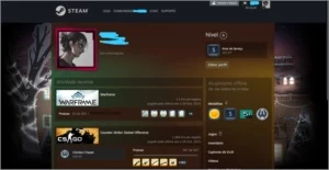 CONTA CSGO, SUPREMO, LVL 19GC, LVL 6 FACEIT - Counter Strike