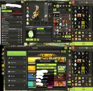 VENDO conta Serv Brutas. Feca 200 Eca 200 Sram 200 Sad 200 - Dofus