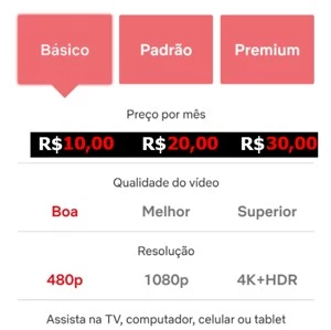 NETFLIX todos os planos PERMANENTE [EXCLUSIVO] - Assinaturas e Premium