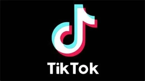 VISUALISAÇÕES PARA SEU VIDEO TIKTOK - Redes Sociais