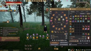 Conta BDO - Black Desert