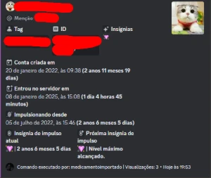 DISCORD BOOST UP LEVEL 9 NITRO BUGADO - Redes Sociais