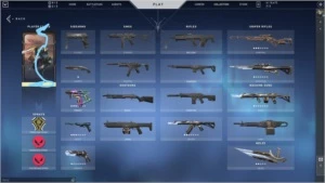 Conta Com Muita Skin + 18.675 VP - Valorant
