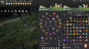 Conta Black Desert - Main Ranger