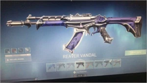 Conta de Valorant com algumas skins + conta de lol com +78