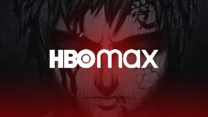 😍 Max | Plano Mensal | Perfil Privado Com Pin | Entrega Ful - Premium