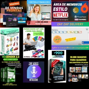 Mega Pack De Produtos Digitais Para Internet - Serviços Digitais