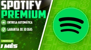 Spotify Premium In Your Email (No Password Required) - Assinaturas e Premium