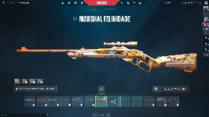 Conta valorant com muitas skins junto de uma conta do lol