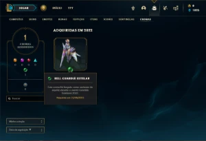 Conta prata 2 com 40 Champs e 12 Skins ( MAIN SUP ) - League of Legends LOL