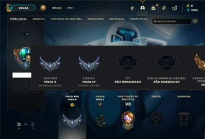 Conta prata 2 com 40 Champs e 12 Skins ( MAIN SUP ) - League of Legends LOL