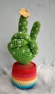 Cacto Paz e Amor - Artesanato e Personalizados