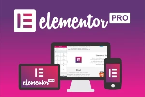 [Promoção] Elementor Pro | Última Versão R$3,99 - Softwares e Licenças