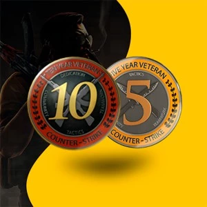 CONTA STEAM ANTIGA COM MEDALHAS 10/5 ANOS DE SERVIÇO
