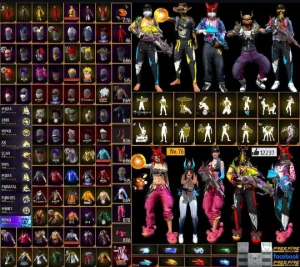 Conta full passe rara - pra vender logo