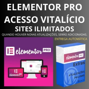 Elementor Pro - Acesso Vitalício - Sites Ilimitados - Outros