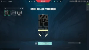 Conta Valorant Com 10 Facas E 101 Skins - Card/Chaveiro Beta