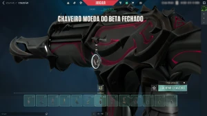 Conta Valorant Com 10 Facas E 101 Skins - Card/Chaveiro Beta