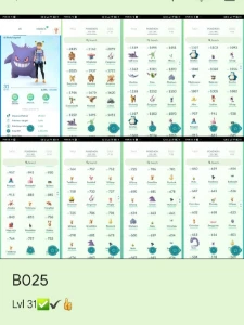 Pokemon go lvl 31 - Pokémon