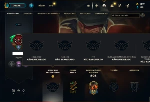 Conta Unranked com TODOS os champs e 334 Skins ( MAIN SUP ) - League of Legends LOL