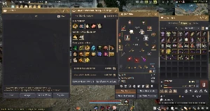 Conta BDO (Do-Sa LVL60 +2 BS AWK PEN) - Black Desert