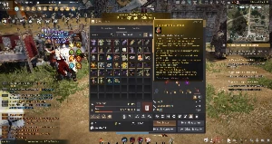 Conta BDO (Full Boss Pen+SOBERANA AWK TET) - Black Desert