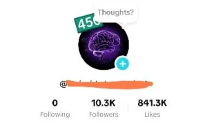 Conta TikTok Público Brasileiro 10K+ - Outros