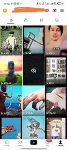 Conta TikTok Público Brasileiro 10K+ - Outros