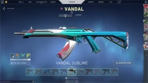 conta valorant com muita skin