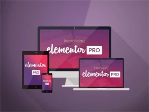 Elementor Pro 2022 Vitalício Com Domínios Ilimitados + Bônus - Softwares e Licenças