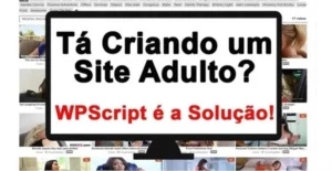 Wp-script Todos Os Temas E Plugins (original) Sites Adultos - Conteúdo Adulto