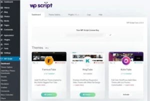 Wp-script Todos Os Temas E Plugins (original) Sites Adultos - Conteúdo Adulto