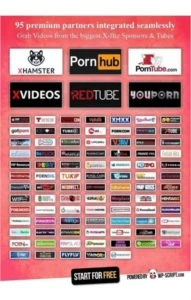 Wp-script Todos Os Temas E Plugins (original) Sites Adultos - Conteúdo Adulto