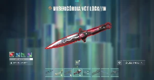 Conta valorant com varias skins e faca vct
