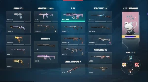 Conta valorant com varias skins e faca vct