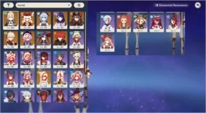 AR 57 AMERICA SERVER GANYU HUTAO RAIDEN KLEE KAZUHA+ - Genshin Impact