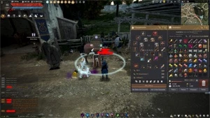 Tamer Lv 66 720GS Black desert Gamez Na(Bdo Gmz) Sem Email