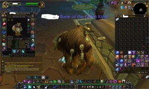 Pala full e druida balance full wow brasi - Blizzard