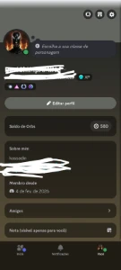 Conta De Discord Top Full Acesso - Outros