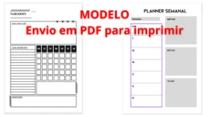 Planner Semanal + Planner Mensal permanente - Outros