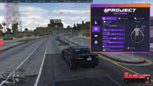 Project Cheats: Fivem Pvp | Esp & Aimbot 100% Seguro - GTA