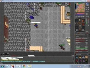 char tibia