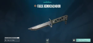 Conta Valorant Otimo Estado Nunca Tomou Ban!