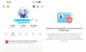CONTAS TIKTOK SHOP ATIVO | 2K SEGUIDORES REAIS | SEM DOC - Redes Sociais