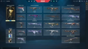 Conta Valorant Unranked com Vandal ION / Vandal Gaia + skins