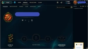 Conta De League Of Legends PBE 8k Rp 20k Ip LOL