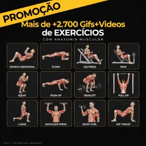 Pacote Com 2700 Gifs+Videos De Treinos - Outros